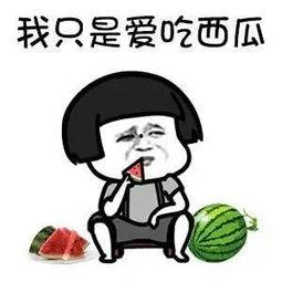吃娱乐圈搞笑瓜,搞笑瓜盘点,笑出腹肌的瞬间